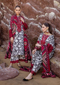 Zainab Chottani Winter Shawls'23 D-03 ASNA - Mohsin Saeed Fabrics