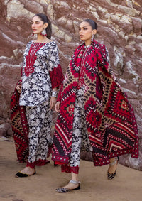 Zainab Chottani Winter Shawls'23 D-03 ASNA - Mohsin Saeed Fabrics