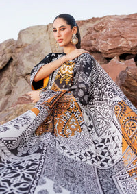 Zainab Chottani Winter Shawls'23 D-09 RYMA - Mohsin Saeed Fabrics