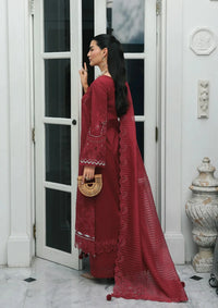 Qalamkar Qline Lawn Drop 1'26  RP-16 QISTAH