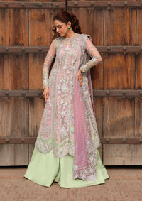 Crimson Jhilmil Wedding'26 D-04 Tilsam