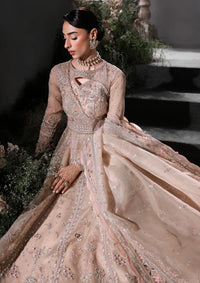 mohsin-saeed-fabrics-affordable-luxury-outfits-for-daily-formal-and-wedding-wear-This-product-is-from-qalamkar-elirah-formals-organza25-mf-01-lustra-is-available-on-Mohsin-saeed-fabrics-website.