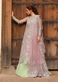 Crimson Jhilmil Wedding'26 D-04 Tilsam