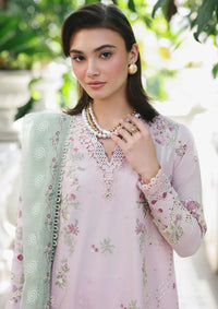 Qalamkar Qline Lawn Drop 1'26  RP-11 INAYA