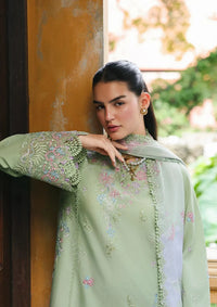 Qalamkar Qline Lawn Drop 1'26  RP-15 RIVAH