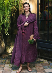 Qalamkar Qline Lawn Drop 1'26  RP-08 LIORA