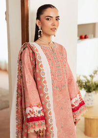 Rajbari Nissa Marina Premium'25 D-12