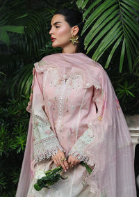 Qalamkar Qline Lawn Drop 1'26  RP-04 VANYA