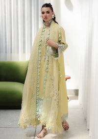 Qalamkar Chikankari Eid Edit'26 CM-02 AYLA