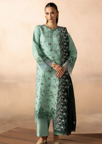 Rajbari Sareen Viscose Chikankari'25 D-11