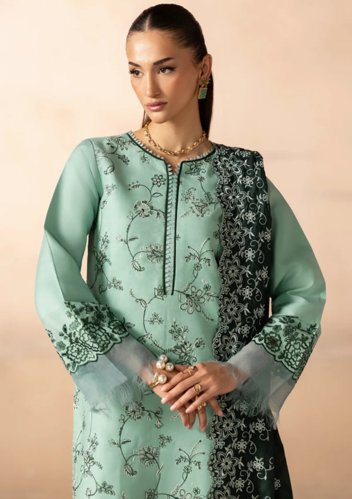 Rajbari Sareen Viscose Chikankari'25 D-11