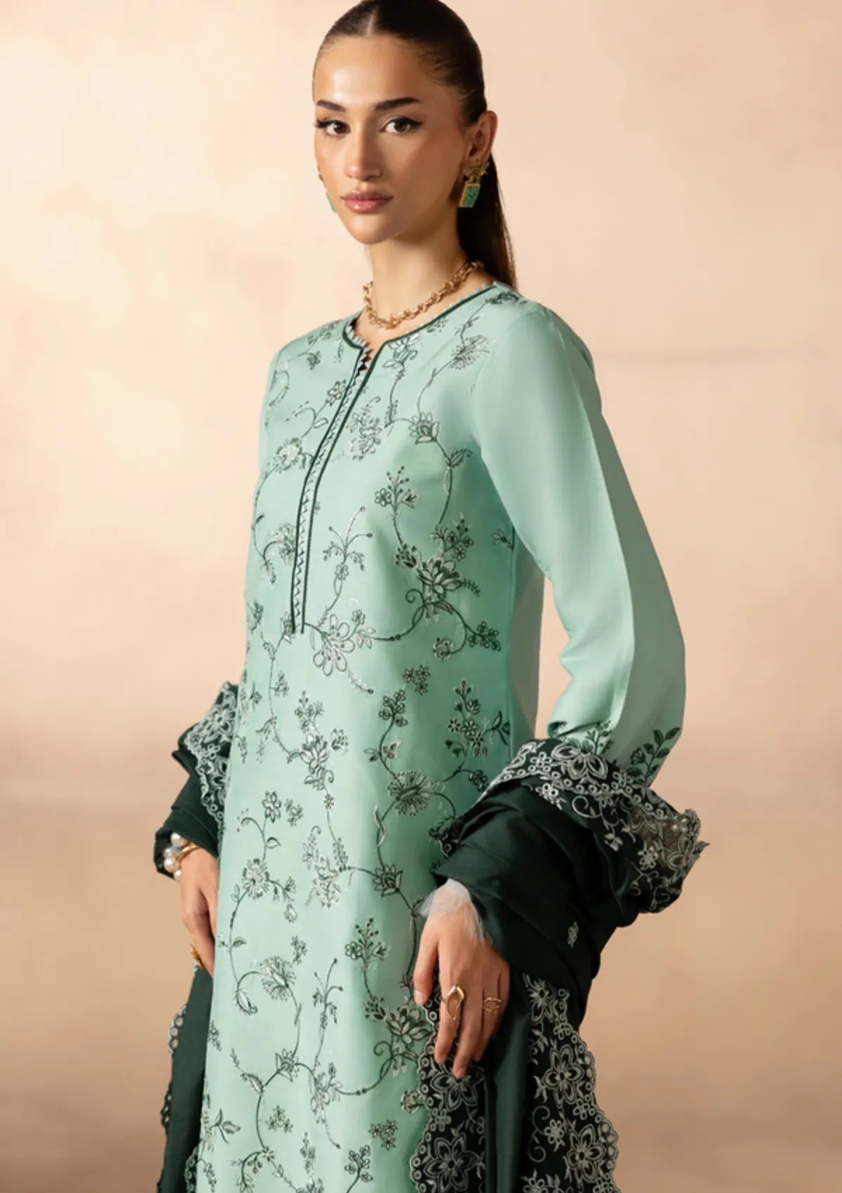 Rajbari Sareen Viscose Chikankari'25 D-11