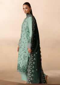 Rajbari Sareen Viscose Chikankari'25 D-11