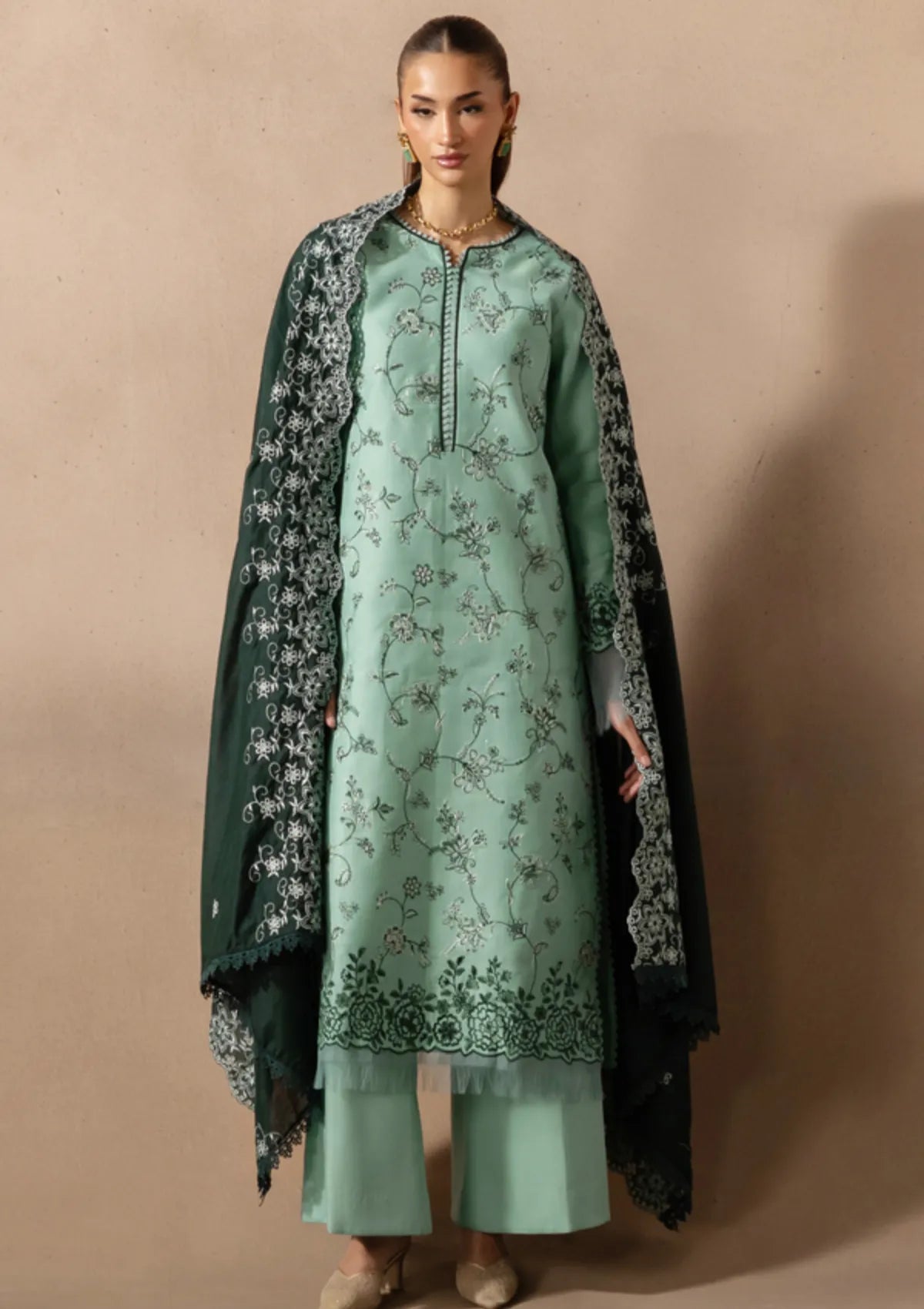 Rajbari Sareen Viscose Chikankari'25 D-11