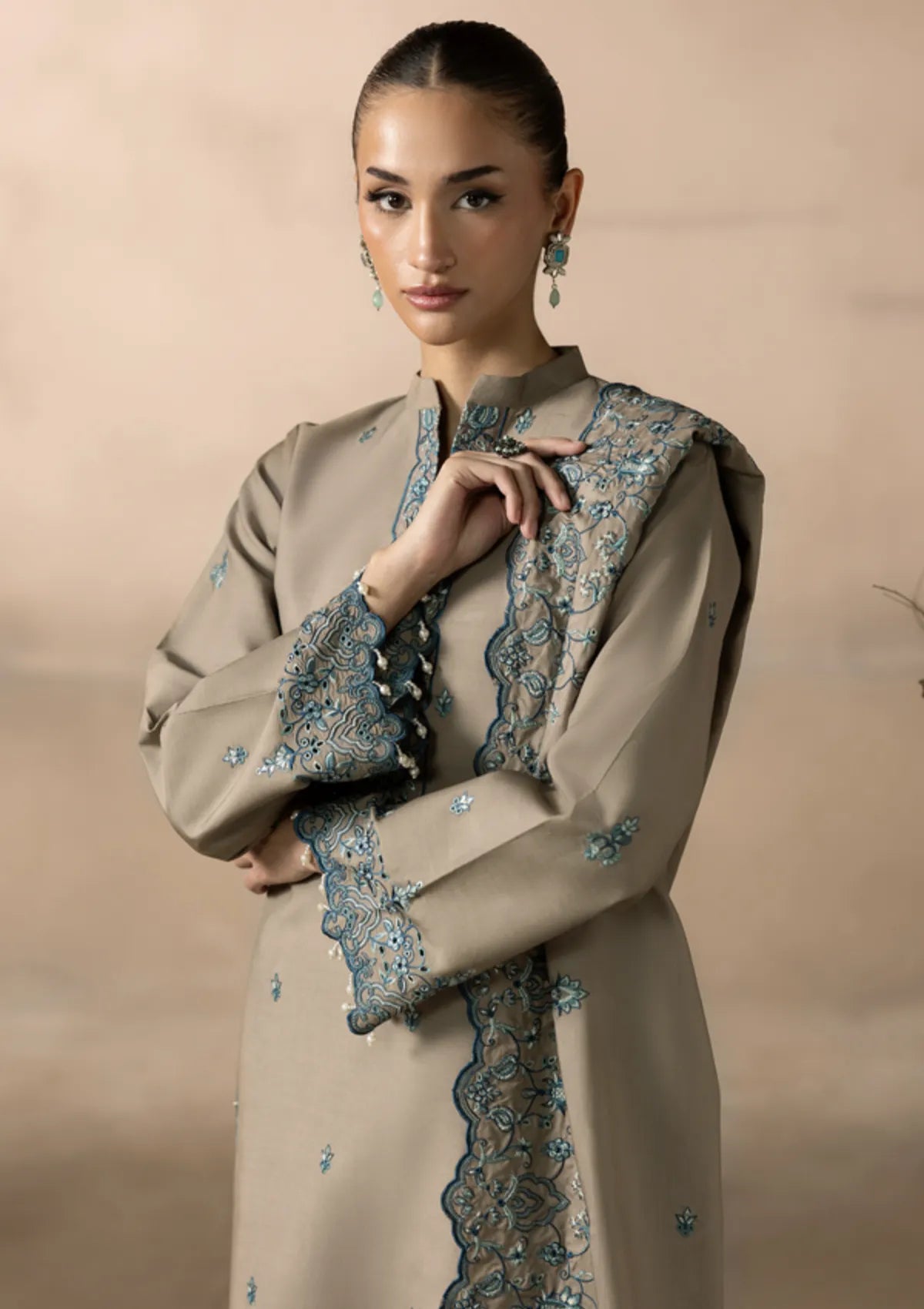 Rajbari Sareen Viscose Chikankari'25 D-03