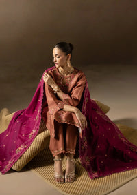 Rajbari Sareen Viscose Chikankari'25 D-12