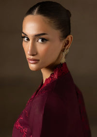 Rajbari Sareen Viscose Chikankari'25 D-04