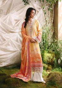 mohsin-saeed-fabrics-is-selling-online-and-in stores-Luxury-daily-wear-wedding-wear-formal-wear-in-budgeted-price-This-product-is-from-rajbari-silah-silk-edit25-d-03-is-available-on-Mohsin-saeed-fabrics-website.