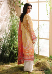 mohsin-saeed-fabrics-is-selling-online-and-in stores-Luxury-daily-wear-wedding-wear-formal-wear-in-budgeted-price-This-product-is-from-rajbari-silah-silk-edit25-d-03-is-available-on-Mohsin-saeed-fabrics-website.