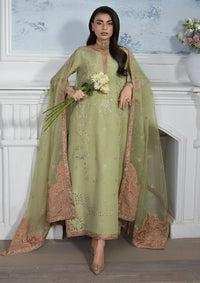 Rang Rasiya Lumeire Silk'26 D-08 Alma