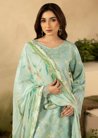 Ellena by Celts'26 EC-07