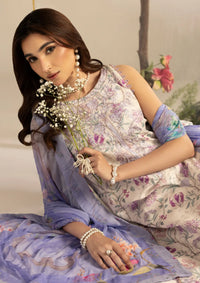 Ellena by Celts'26 EC-08