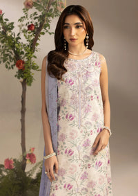 Ellena by Celts'26 EC-08