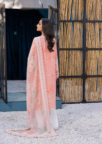 Elora By La Elise'24 D-02 Aviva - Mohsin Saeed Fabrics