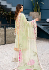 Elora By La Elise'24 D-03 Zoe - Mohsin Saeed Fabrics