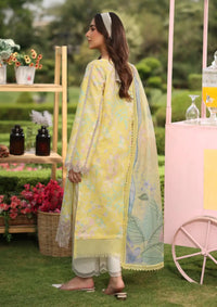 mohsin-saeed-fabrics-designer-daily-wear-formal-and-wedding-suits-within-budget-This-product-is-from-rang-rasiya-lifestyle-summer-edit25-reena-is-available-on-Mohsin-saeed-fabrics-website.