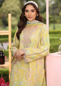 mohsin-saeed-fabrics-designer-daily-wear-formal-and-wedding-suits-within-budget-This-product-is-from-rang-rasiya-lifestyle-summer-edit25-reena-is-available-on-Mohsin-saeed-fabrics-website.