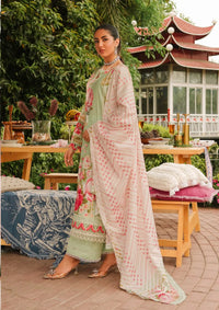Elaf Prints Lawn Collection'24 EEP-05A-Mint To Be - Mohsin Saeed Fabrics