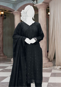 Pakeeza By ABC Chapter-2 Wool'25 D-05