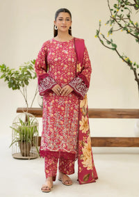 Johra Ardin Winter'25 JW-259