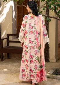 Zaiba By Humdum'25 D-01