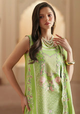 Bin Ilyas Mashriq Festive Edit'26  D-112A