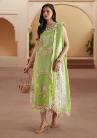 Bin Ilyas Mashriq Festive Edit'26  D-112A