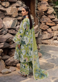 Alizeh Sheen Prints'24 Vol-02 AF-6018-JAZMIN - Mohsin Saeed Fabrics