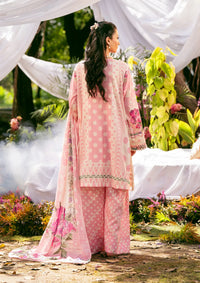 mohsin-saeed-fabrics-designer-daily-wear-formal-and-wedding-suits-within-budget-This-product-is-from-elaf-prints-lawn25-vol-2-eps-2a-rose-dusk-is-available-on-Mohsin-saeed-fabrics-website.