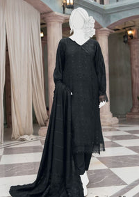 Pakeeza By ABC Chapter-2 Wool'25 D-05