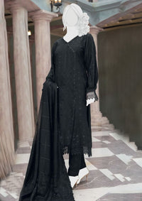 Pakeeza By ABC Chapter-2 Wool'25 D-05