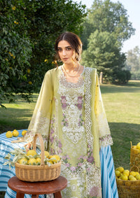 Elaf Luxury Lawn'26 ELY-08 PISTACHIA