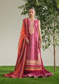 Bin Ilyas Jojo Summer '26 D-87A