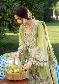 Elaf Luxury Lawn'26 ELY-08 PISTACHIA