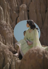 mohsin-saeed-fabrics-affordable-luxury-outfits-for-daily-formal-and-wedding-wear-This-product-is-from-rang-rasiya-premium-eid-edit25-d-10-rania-is-available-on-Mohsin-saeed-fabrics-website.