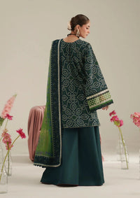 Bin Ilyas Jojo Summer '26 D-87B