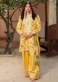 Zaiba By Humdum'25 D-03