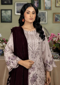 Marjjan Velvet Shawl'24 MVD-22 PURPLE