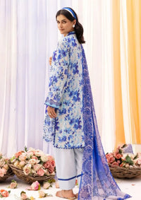 mohsin-saeed-fabrics-affordable-luxury-outfits-for-daily-formal-and-wedding-wear-This-product-is-from-rangrez-by-nur25-nr-404-is-available-on-Mohsin-saeed-fabrics-website.