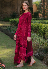 Bin Ilyas Gulabi Baagh Winter'24 D-151 A
